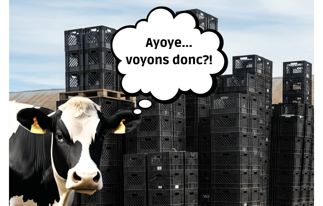 Le Québec, de la ferme à la caisse : un modèle d'autosuffisance